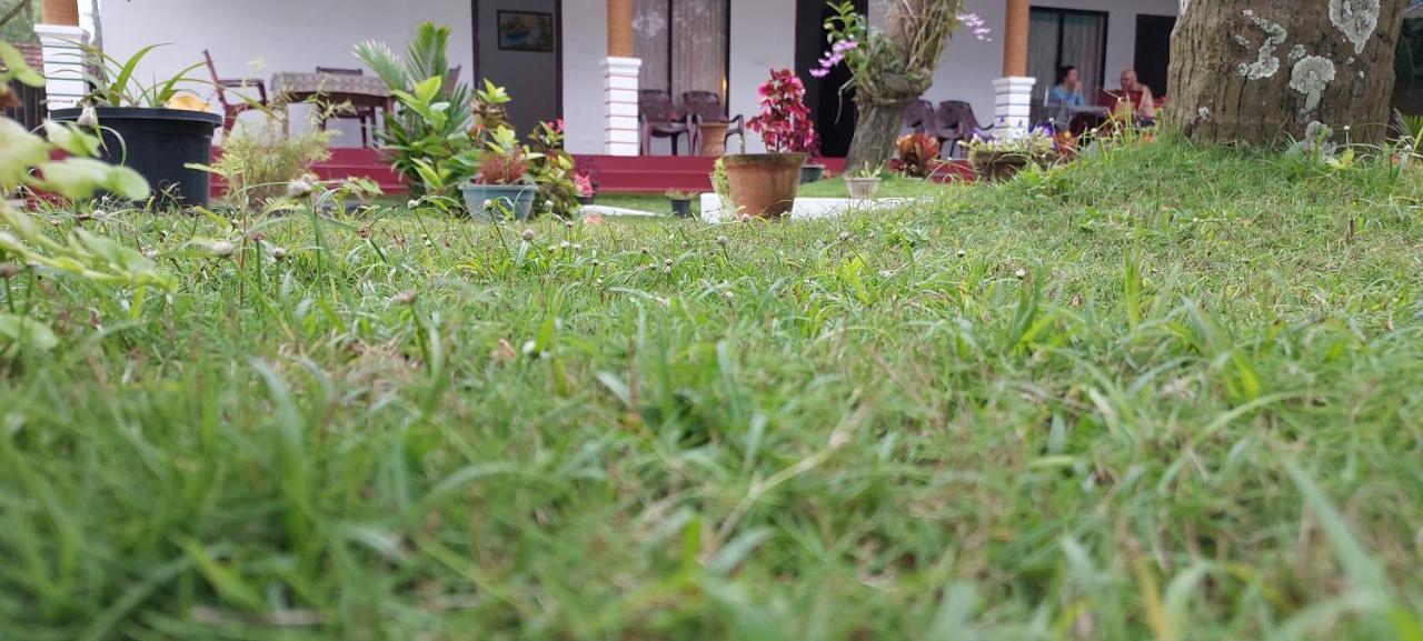 Marari Phoenix Beach Homestay 马拉利库兰 外观 照片