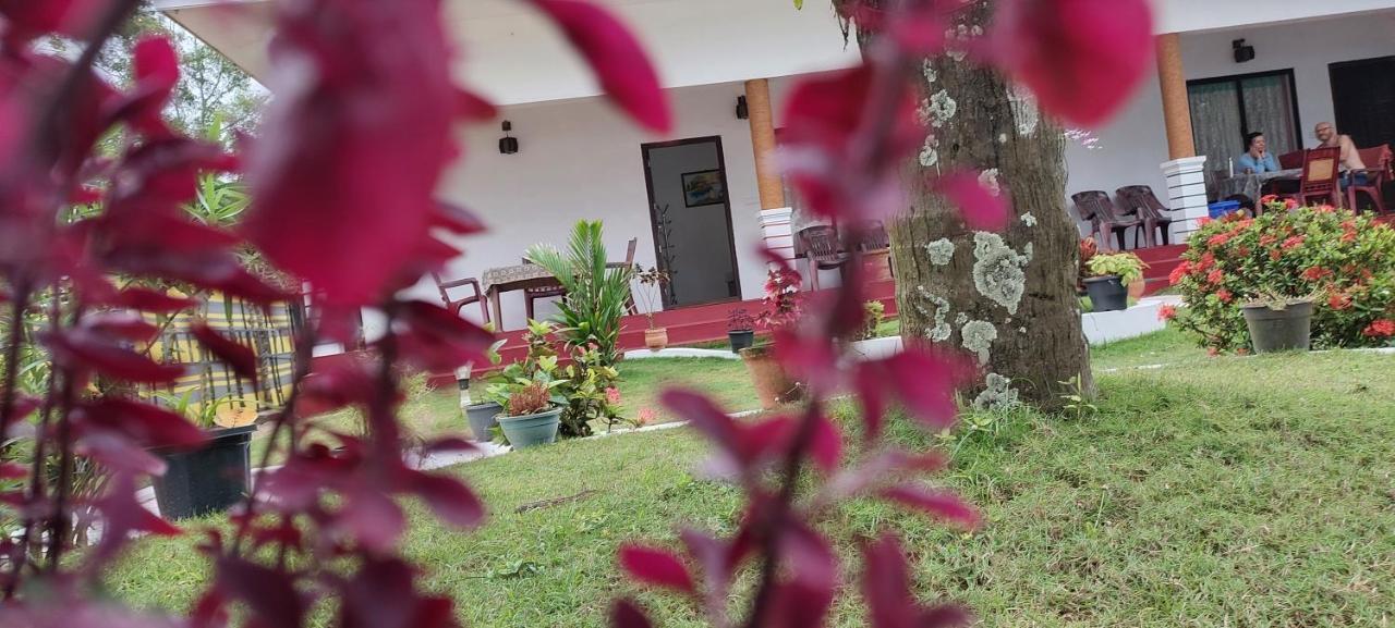 Marari Phoenix Beach Homestay 马拉利库兰 外观 照片